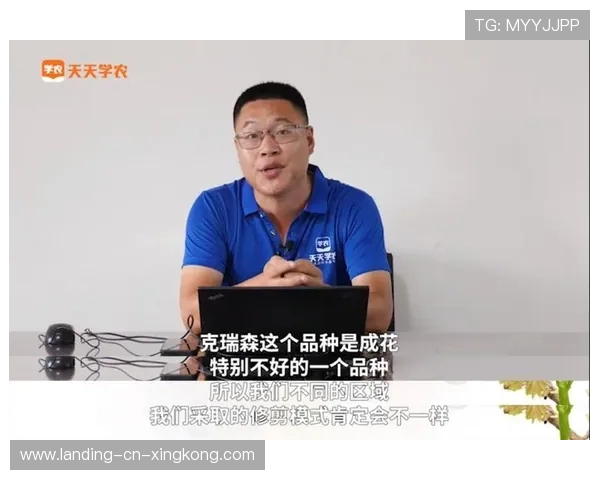 联盟就判罚标准召开专家讨论会：保障比赛公平的关键一步