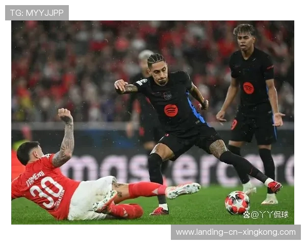 本菲卡准备以高价抢下德甲新核,欧洲转会市场又将掀起新风暴 本菲卡准备以高价抢下德甲新核,欧洲转会市场又将掀起新风暴