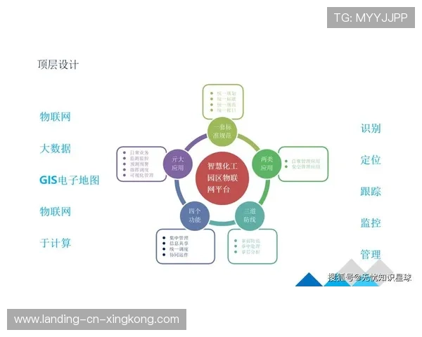 后防数据化管理未来五年发展蓝图 后防数据化管理未来五年发展蓝图