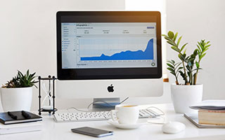 PSG.LGD主场观众热情高涨，psg lgd y队